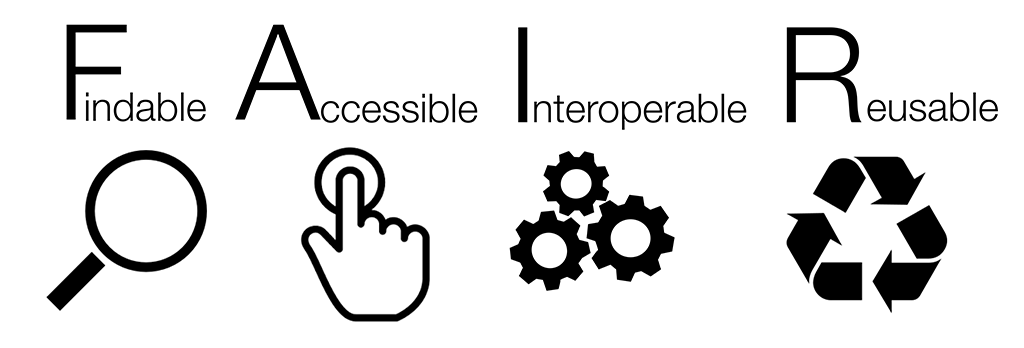 Data LifeCycle